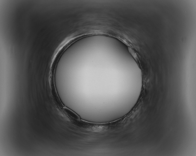 X0000083530152200703021602