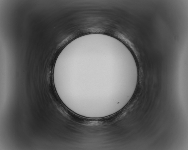 X0000083530153200703021602