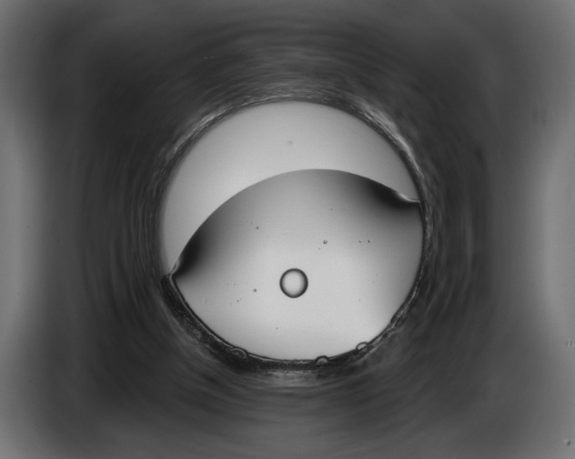 X0000083530154200703021602