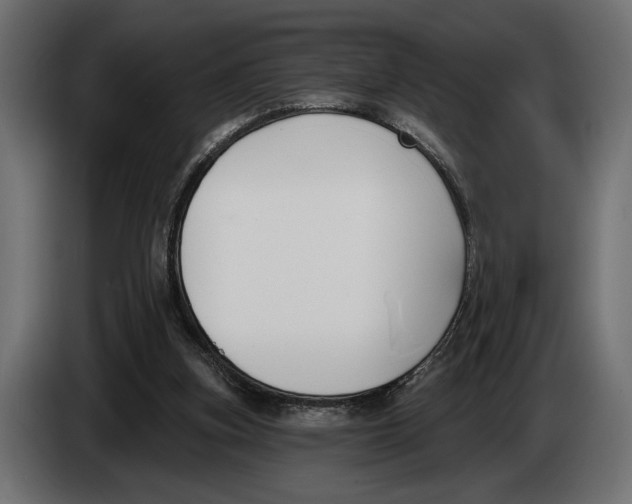 X0000083530155200703021602