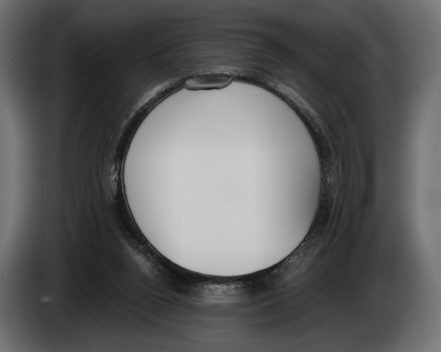 X0000083530160200703021602