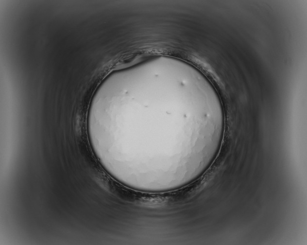 X0000083530161200703021602