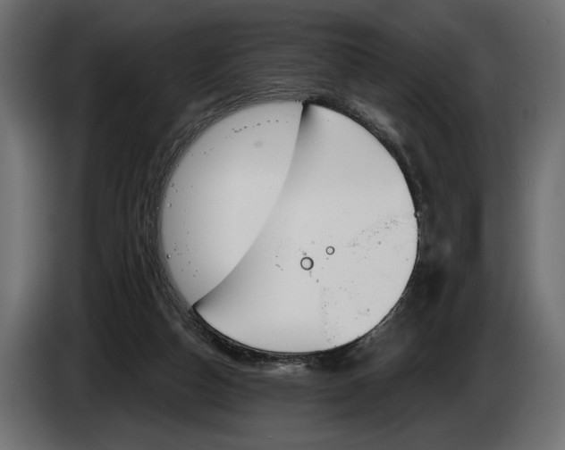 X0000083530162200703021602