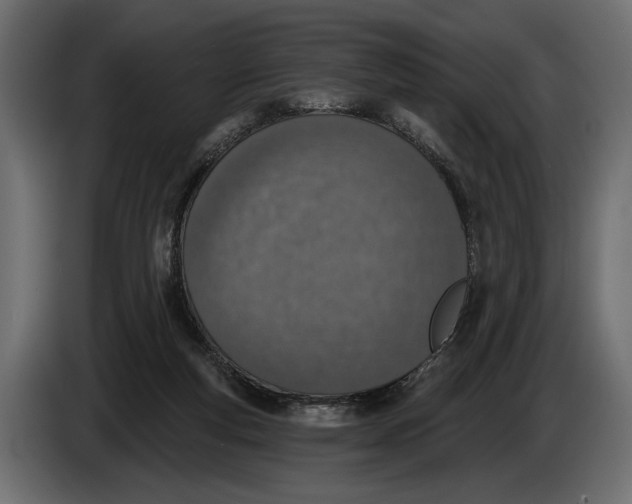 X0000083530163200703021602