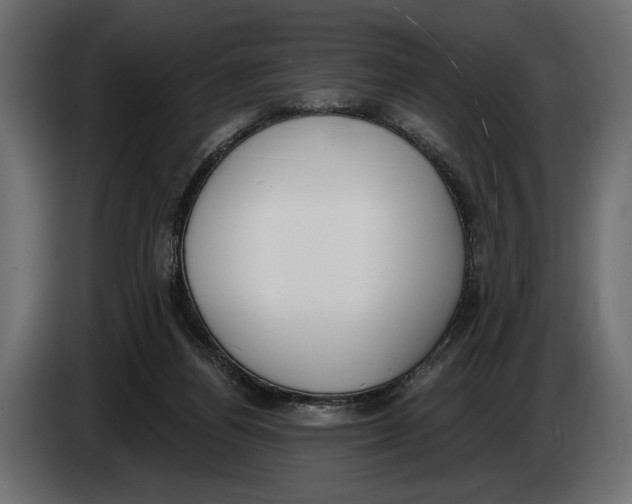 X0000083530164200703021602