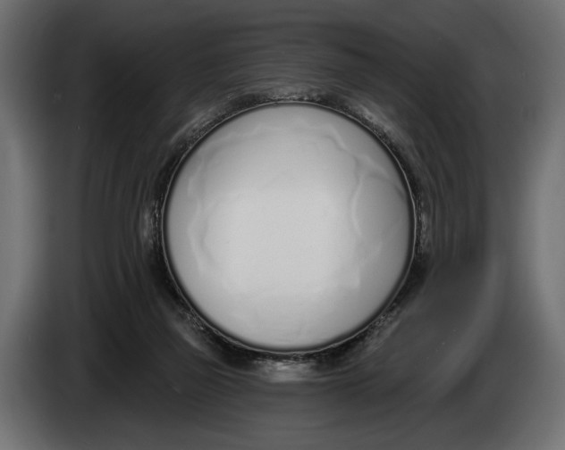 X0000083530165200703021602