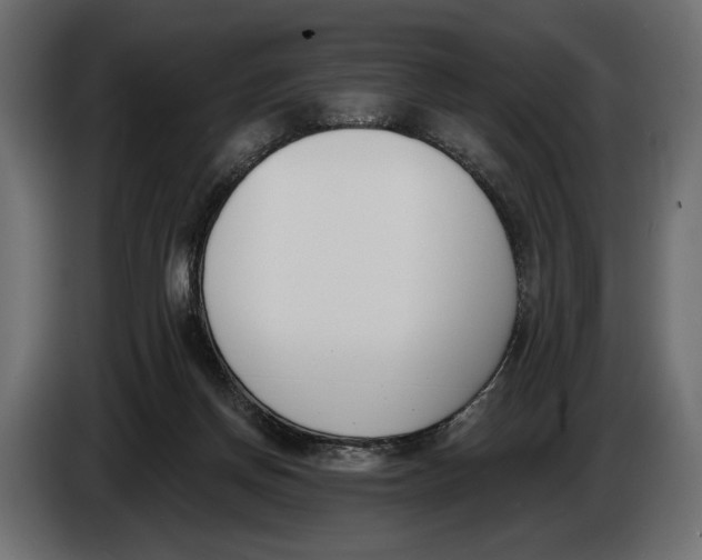 X0000083530166200703021602