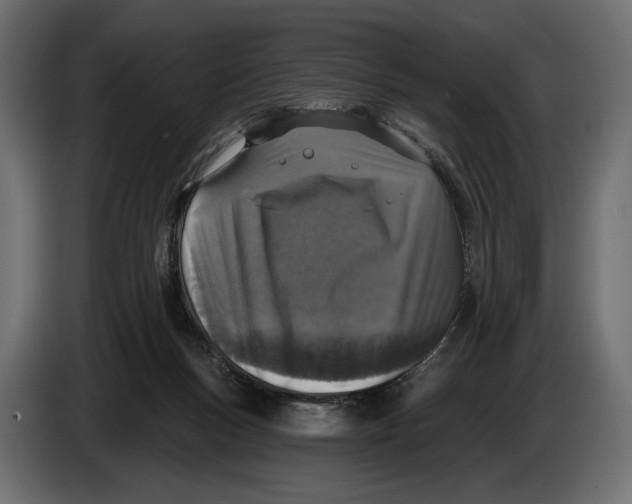 X0000083530167200703021603