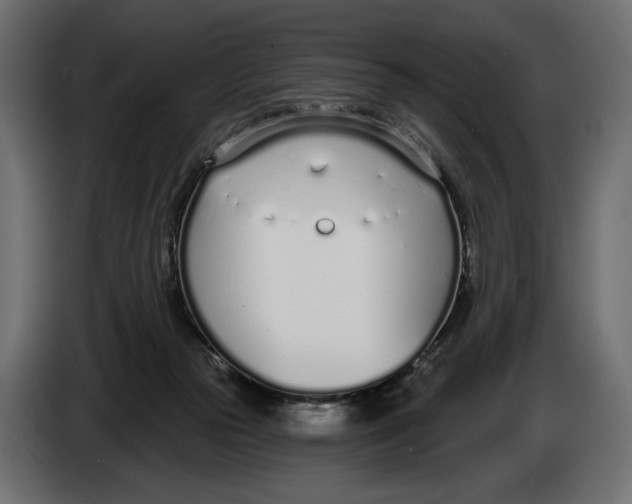 X0000083530169200703021603