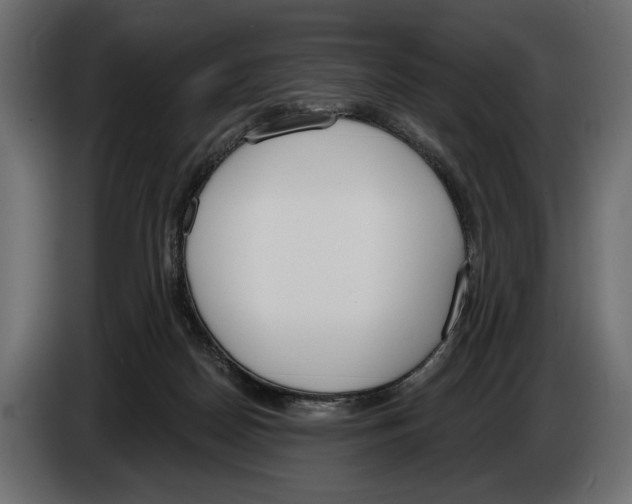 X0000083530170200703021603