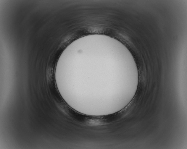 X0000083530171200703021603