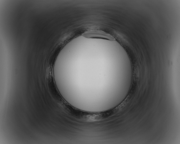 X0000083530172200703021603