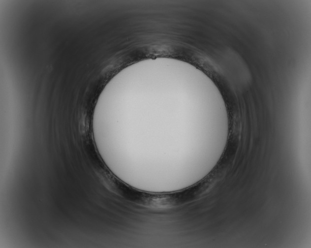 X0000083530173200703021603