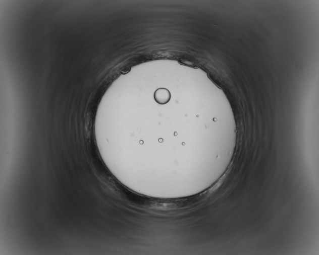 X0000083530174200703021603