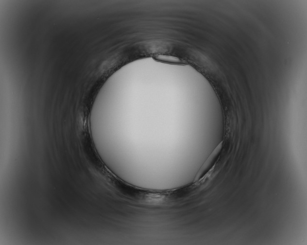 X0000083530176200703021603