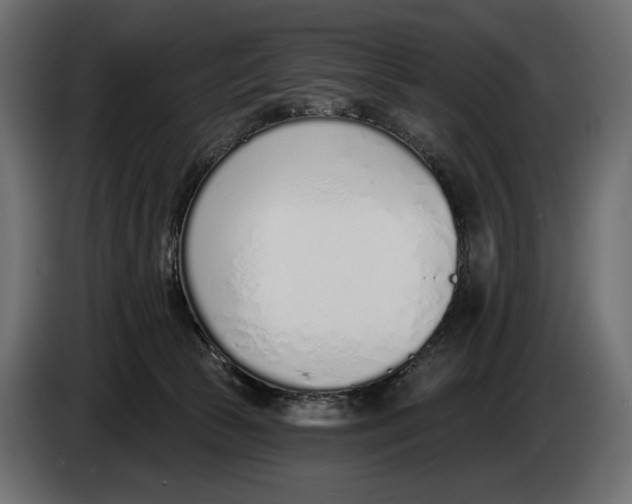 X0000083530177200703021603