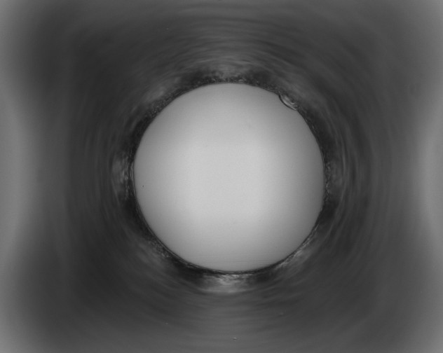 X0000083530184200703021603