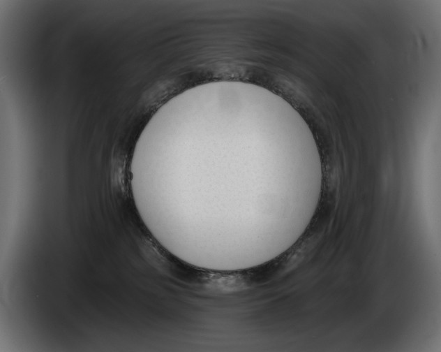 X0000083530185200703021603