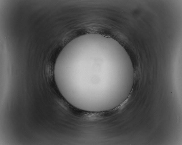 X0000083530186200703021603