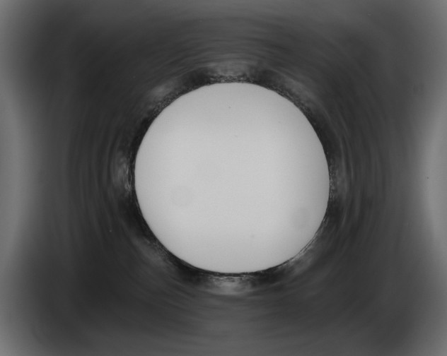 X0000083530187200703021603