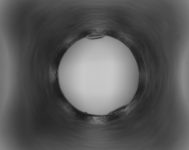 X0000083530188200703021603