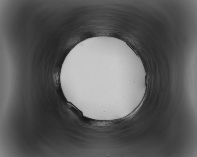 X0000083530190200703021603