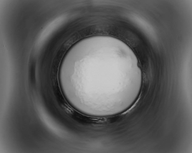 X0000083530191200703021603