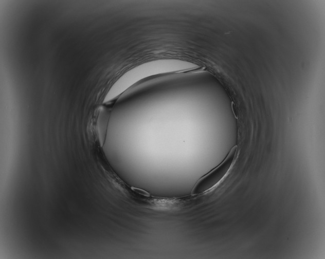 X0000083530192200703021603