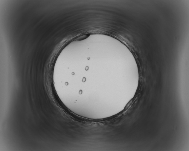 X0000083530193200703021602