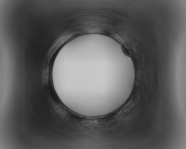 X0000083530194200703021602