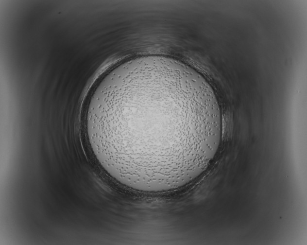 X0000083530195200703021602