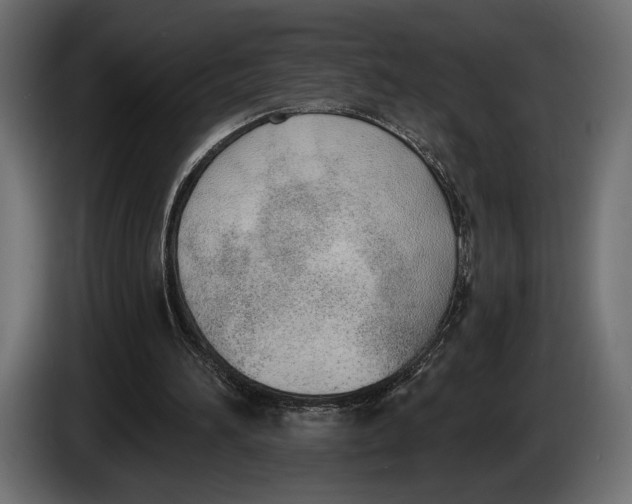 X0000083530196200703021602