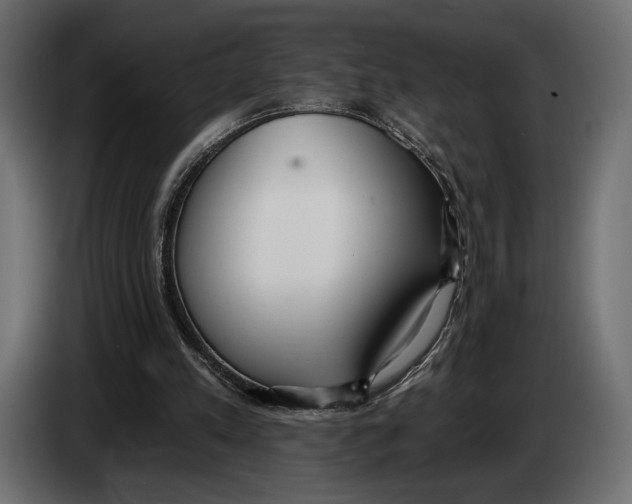 X0000083530197200703021602