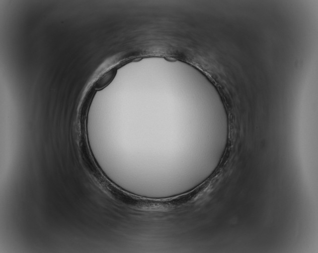 X0000083530198200703021602