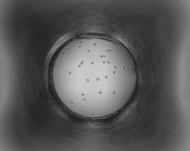 X0000083530199200703021602