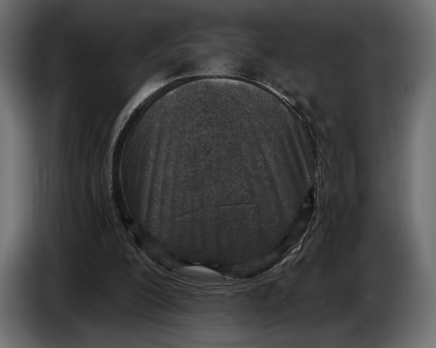 X0000083530200200703021602