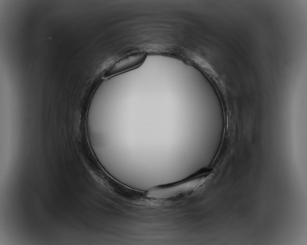 X0000083530201200703021602