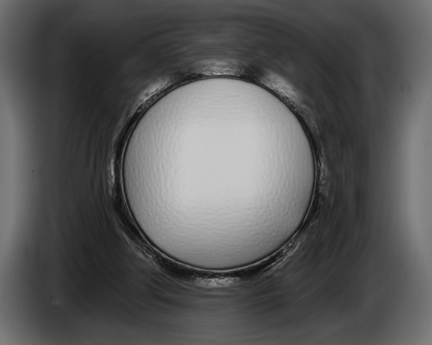 X0000083530202200703021602