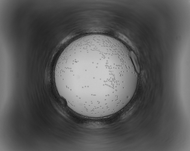 X0000083530203200703021602