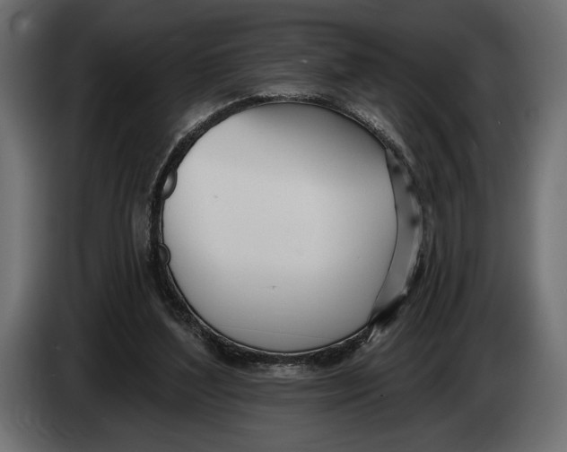 X0000083530204200703021602