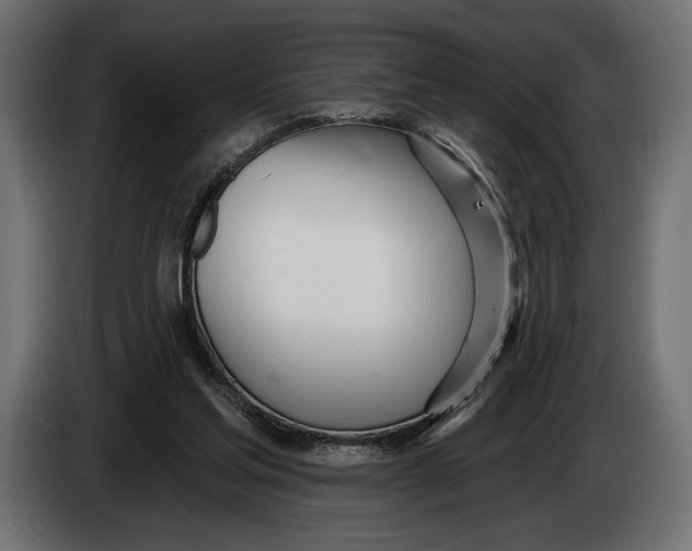 X0000083530205200703021602