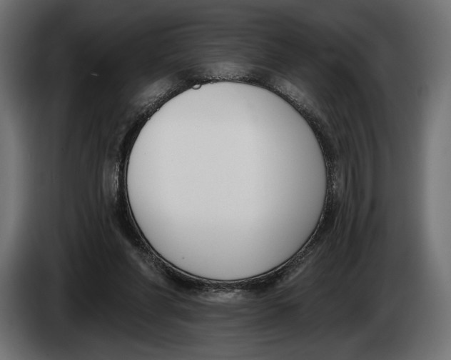 X0000083530206200703021602