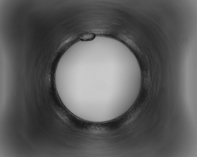 X0000083530207200703021602