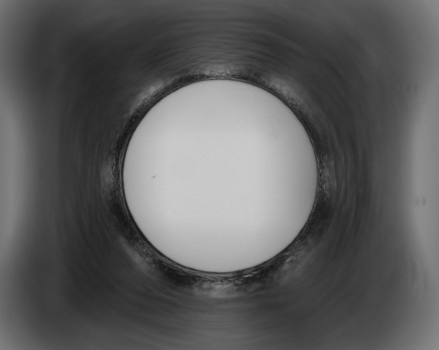 X0000083530208200703021602