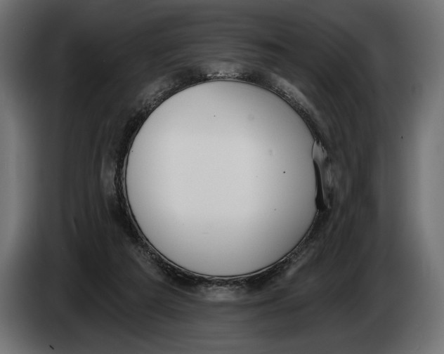 X0000083530209200703021602