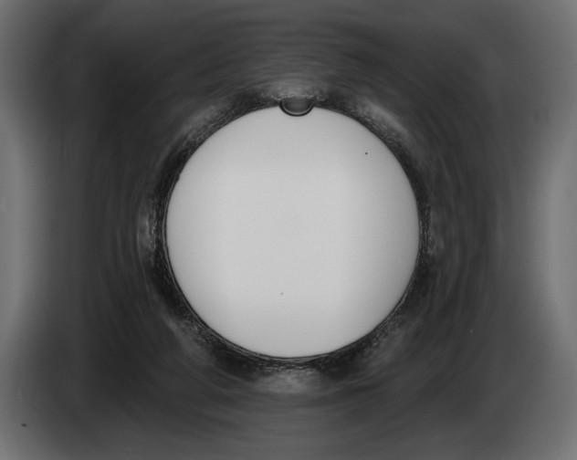 X0000083530210200703021602