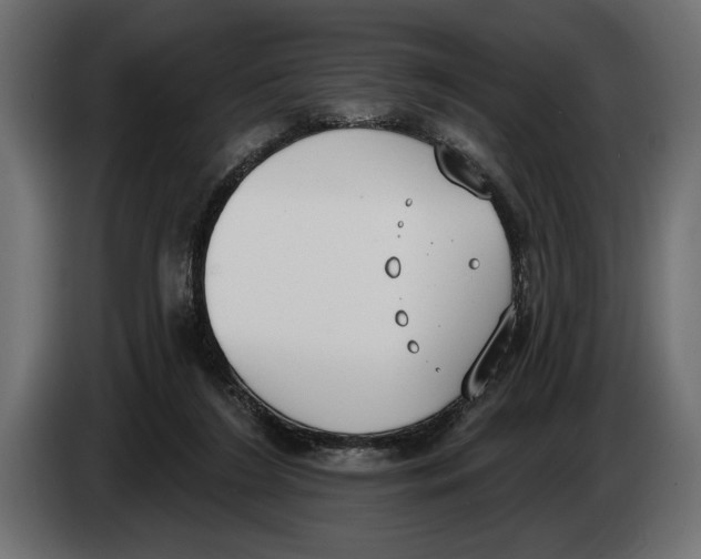 X0000083530212200703021602