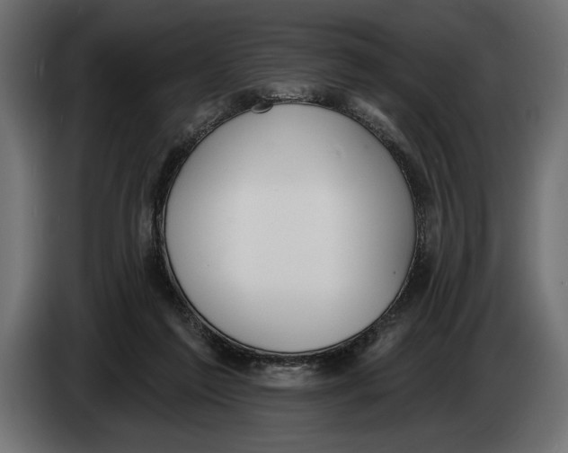 X0000083530213200703021602