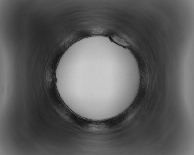 X0000083530215200703021602