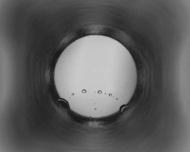 X0000083530216200703021601